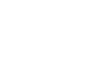 5S Lending LLC